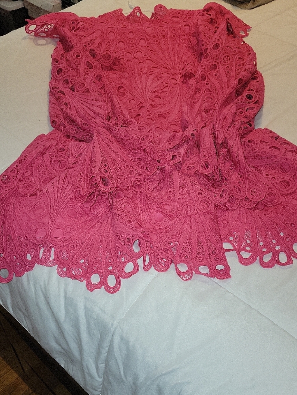 Hot Pink Lace Ruffled Mini Dress - Picture 3 of 11